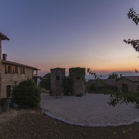 Agriturismo Terra Selvatica Valfabbrica ภายนอก รูปภาพ