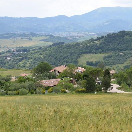 Agriturismo Terra Selvatica Valfabbrica ภายนอก รูปภาพ