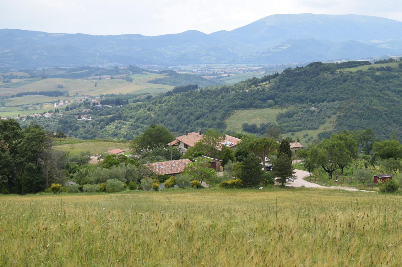 Agriturismo Terra Selvatica Valfabbrica ภายนอก รูปภาพ