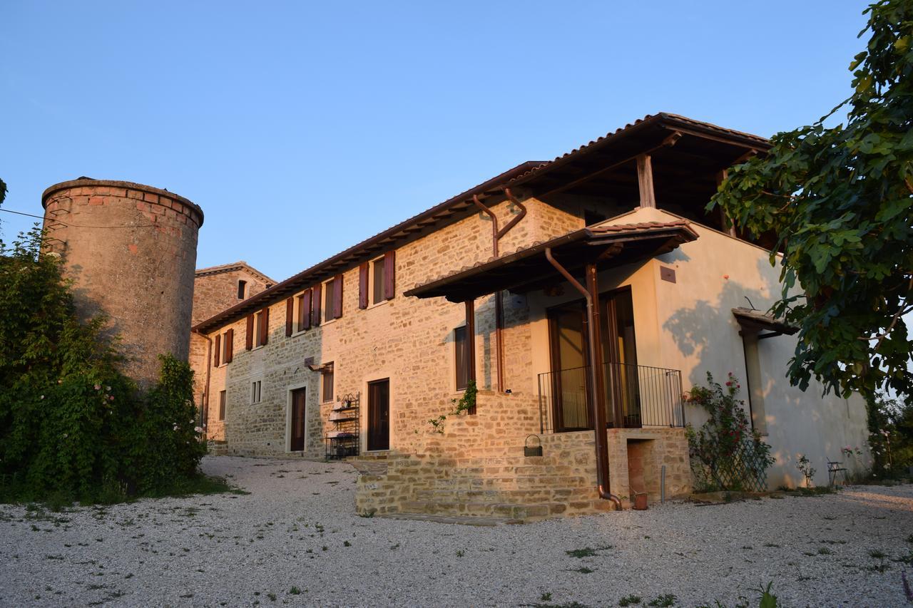 Agriturismo Terra Selvatica Valfabbrica ภายนอก รูปภาพ